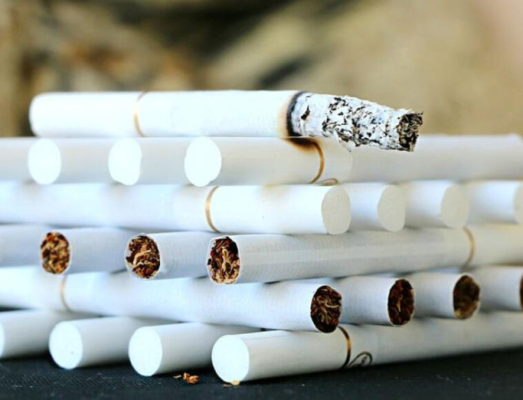 High Times Ahead: New Regions Embrace Cannabis Consumption Lounges