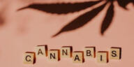 Breaking Barriers: The Evolution of Diverse Cannabis Entrepreneurs