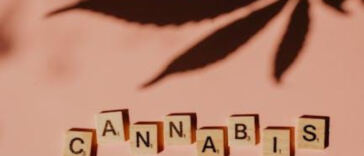 Breaking Barriers: The Evolution of Diverse Cannabis Entrepreneurs