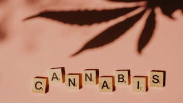 Breaking Barriers: The Evolution of Diverse Cannabis Entrepreneurs