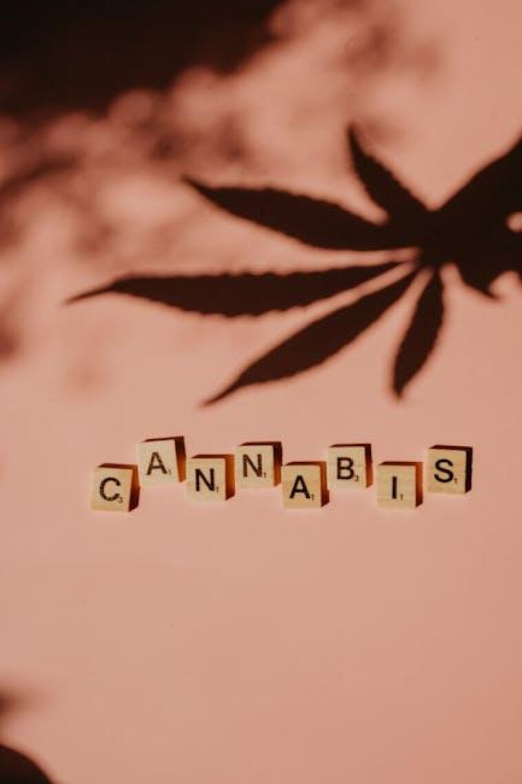 Breaking Barriers: The Evolution of Diverse Cannabis Entrepreneurs