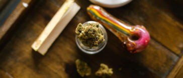 Worldwide Weed Wonders: Exploring Regional Cannabis Strains