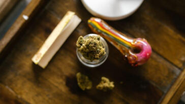 Worldwide Weed Wonders: Exploring Regional Cannabis Strains