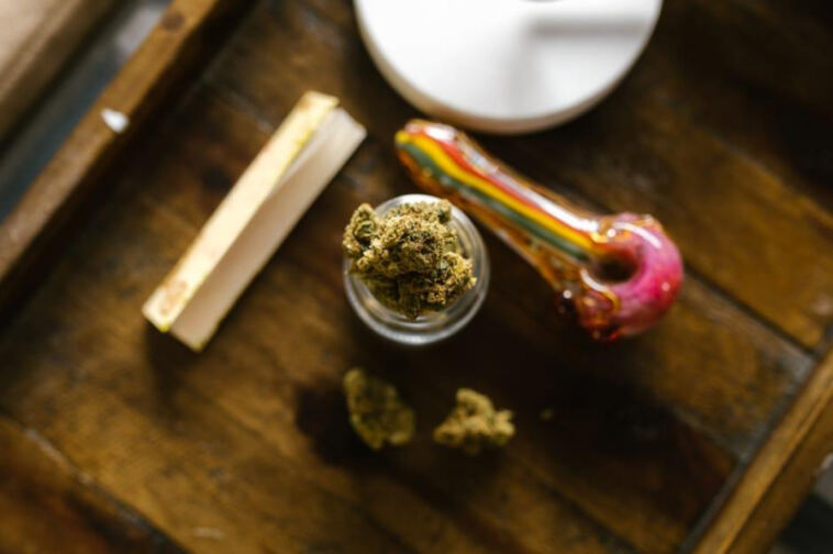 Worldwide Weed Wonders: Exploring Regional Cannabis Strains