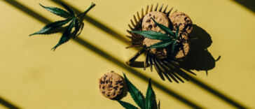 Cannabis-Infused Chocolates: A Delicious DIY Treat