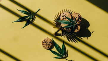 Cannabis-Infused Chocolates: A Delicious DIY Treat