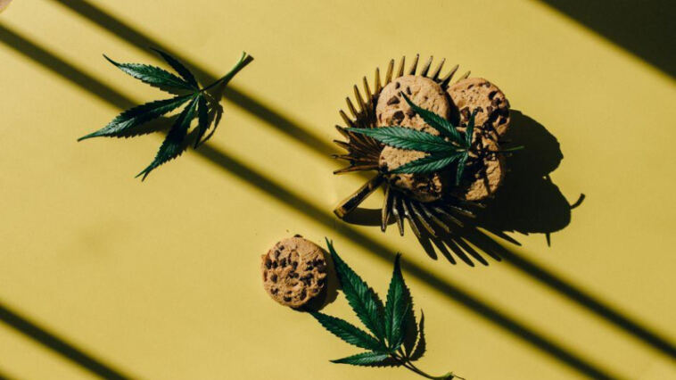 Cannabis-Infused Chocolates: A Delicious DIY Treat