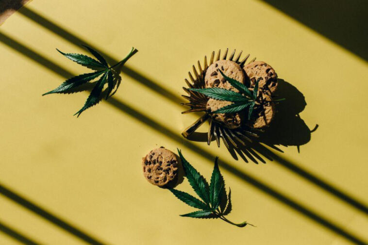 Cannabis-Infused Chocolates: A Delicious DIY Treat