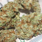 Blissful Buds: The Best Indica Strains for Unwinding