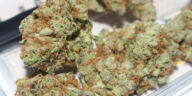 Blissful Buds: The Best Indica Strains for Unwinding