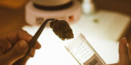 DIY Guide: Crafting Cannabis Concentrates