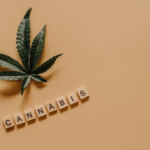 Navigating the Hazy Terrain: Legal Risks in Cannabis Ads