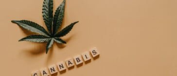 Navigating the Hazy Terrain: Legal Risks in Cannabis Ads