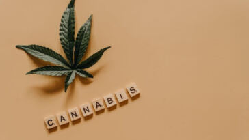 Navigating the Hazy Terrain: Legal Risks in Cannabis Ads