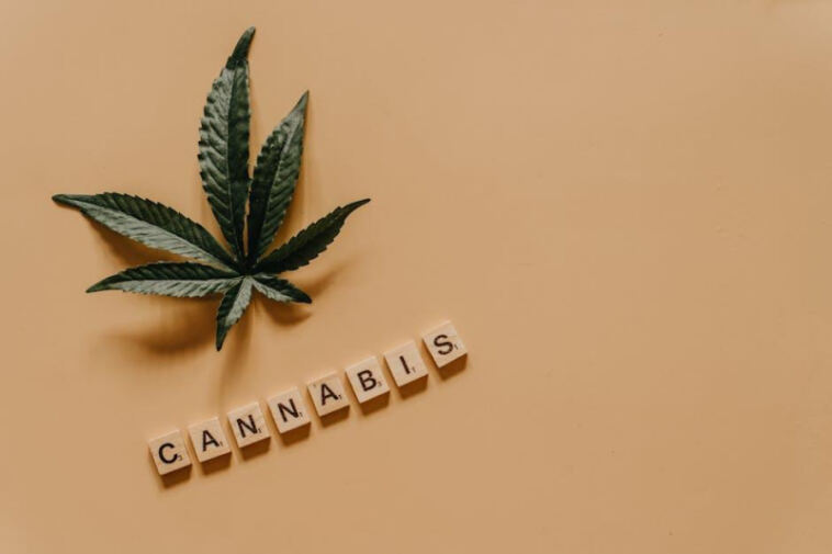 Navigating the Hazy Terrain: Legal Risks in Cannabis Ads