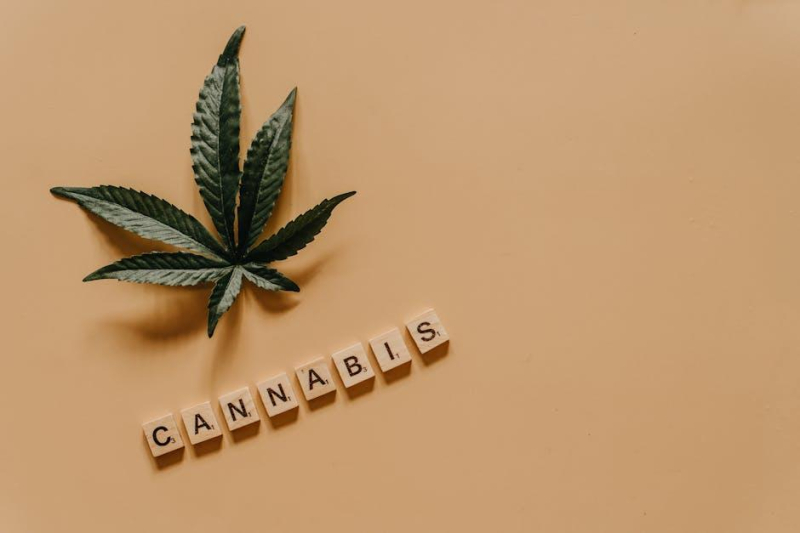 Navigating the Hazy Terrain: Legal Risks in Cannabis Ads