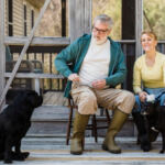 Rejuvenating Rover: The Transformative Effects of CBD for Senior Dogs