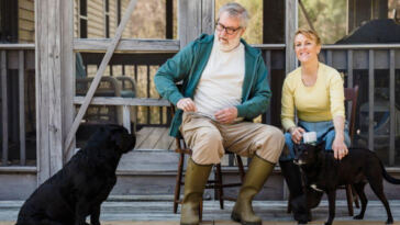 Rejuvenating Rover: The Transformative Effects of CBD for Senior Dogs