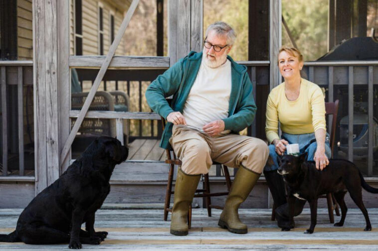 Rejuvenating Rover: The Transformative Effects of CBD for Senior Dogs