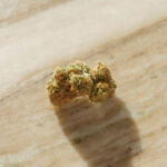 Exploring Gentle Cannabis: Low-THC Strains for Novices