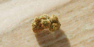 Exploring Gentle Cannabis: Low-THC Strains for Novices