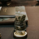 Greening the Classroom: Exploring Cannabis in Education