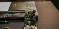 Greening the Classroom: Exploring Cannabis in Education