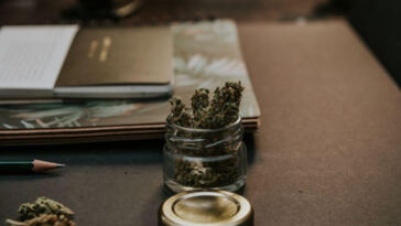 Greening the Classroom: Exploring Cannabis in Education