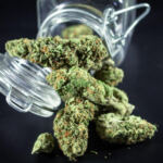 Virtual High: Metaverse Dispensaries Revolutionizing Cannabis Sales