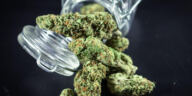 Virtual High: Metaverse Dispensaries Revolutionizing Cannabis Sales