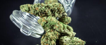 Virtual High: Metaverse Dispensaries Revolutionizing Cannabis Sales