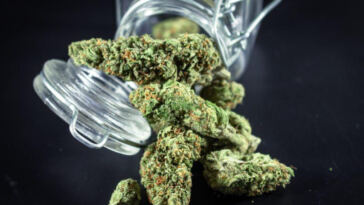Virtual High: Metaverse Dispensaries Revolutionizing Cannabis Sales