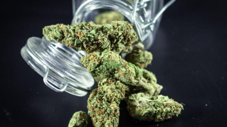 Virtual High: Metaverse Dispensaries Revolutionizing Cannabis Sales