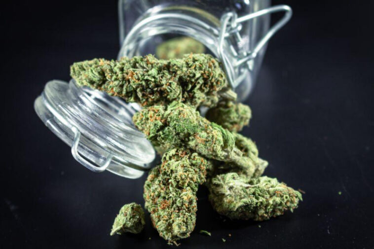 Virtual High: Metaverse Dispensaries Revolutionizing Cannabis Sales