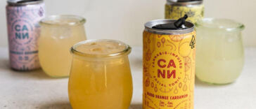 Bubbling Bliss: Top CBD Beverages to Sip On