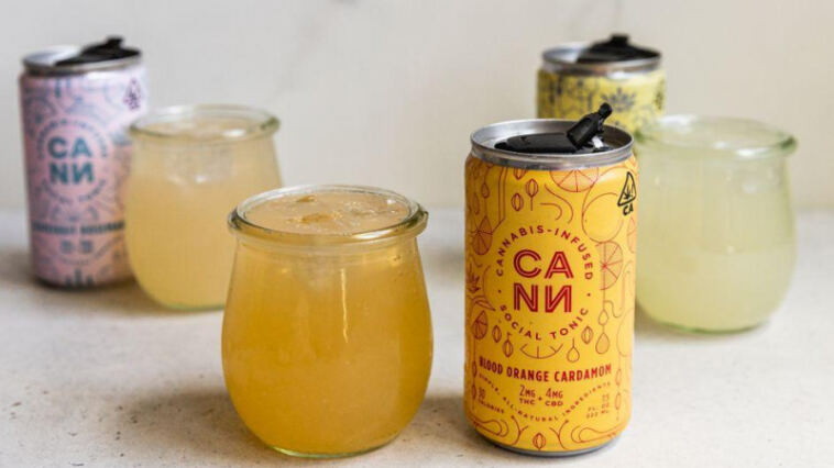 Bubbling Bliss: Top CBD Beverages to Sip On