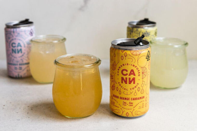 Bubbling Bliss: Top CBD Beverages to Sip On