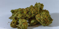 The Ultimate Guide to Powerhouse Cannabis Strains