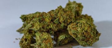 The Ultimate Guide to Powerhouse Cannabis Strains