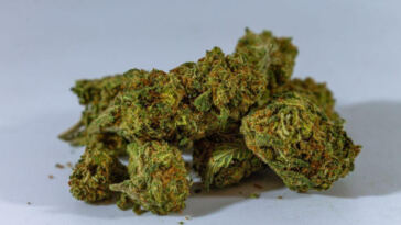 The Ultimate Guide to Powerhouse Cannabis Strains