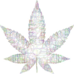 Journeying Into the Psychedelic Cannabis Realm