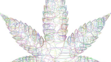 Journeying Into the Psychedelic Cannabis Realm