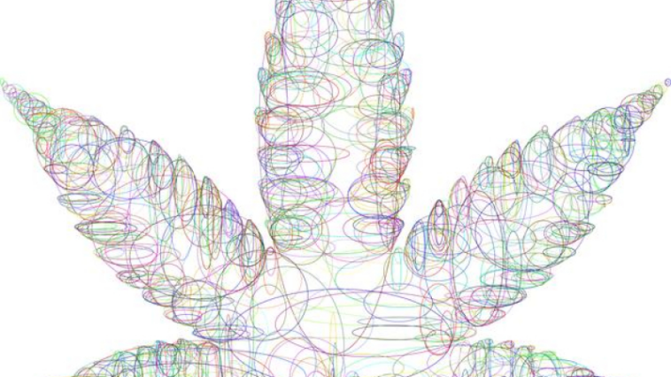 Journeying Into the Psychedelic Cannabis Realm