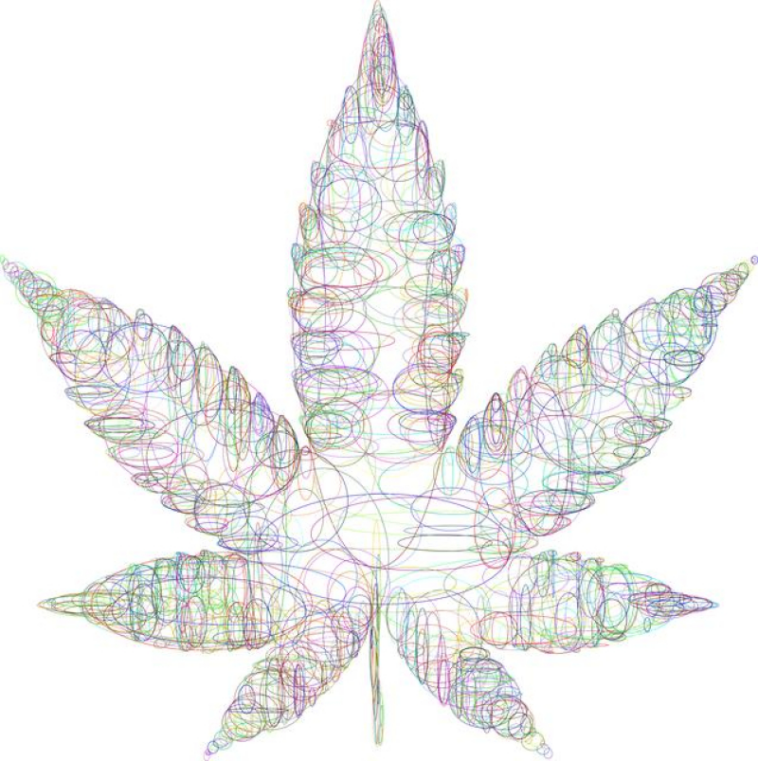 Journeying Into the Psychedelic Cannabis Realm