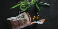 Balancing Your Gut: CBD’s Impact on Digestive Health
