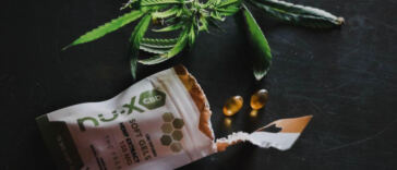 Balancing Your Gut: CBD’s Impact on Digestive Health