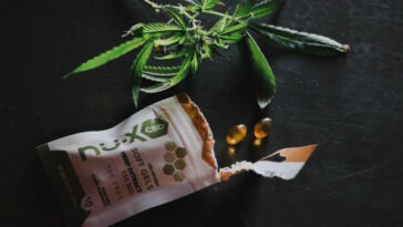 Balancing Your Gut: CBD’s Impact on Digestive Health