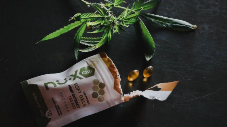 Balancing Your Gut: CBD’s Impact on Digestive Health