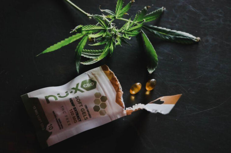 Balancing Your Gut: CBD’s Impact on Digestive Health