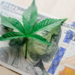 Budding Opportunities: Best Cannabis Investments